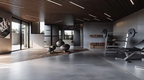 fitness room,minotti,natuzzi,interior modern design,fitness center,modern living room,technogym,loft,luxury home interior,fitness facility,modern room,vitra,livingroom,leisure facility,interior design,modern office,salon,modern minimalist lounge,living room,cassina,Photography,General,Realistic