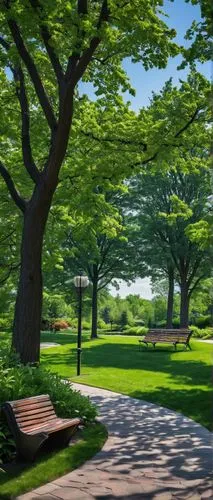 golf course background,tree lined path,green space,walk in a park,park akanda,green landscape,landscape background,greenspace,tree lined,green forest,green trees,tree lined avenue,aaa,tree-lined avenue,nature background,japan garden,central park,golf landscape,aaaa,tree lined lane,Conceptual Art,Sci-Fi,Sci-Fi 20