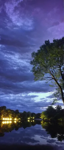 jacaranda,jacaranda trees,evening lake,mindanao,long exposure light,angkor,isolated tree,the japanese tree,kerala,lone tree,long exposure,lake tanuki,tree silhouette,blue hour,karnataka,kampot,nusa dua,botswana,night photograph,brunei,Illustration,Black and White,Black and White 29