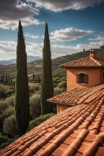 tuscany,toscane,roof landscape,toscana,tuscan,umbrian,pienza,tiled roof,roof tiles,home landscape,house roofs,tuscans,campagna,montalcino,rooflines,vernaccia,roofline,umbria,red roof,frescobaldi,Conceptual Art,Oil color,Oil Color 12