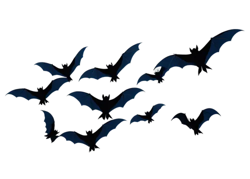 Dark blue bats, flying in groups, wings spread wide, detailed veins, tiny eyes, sharp teeth, nocturnal, night sky, full moon, subtle glowing effect, 3/4 composition, cinematic lighting, soft focus, my