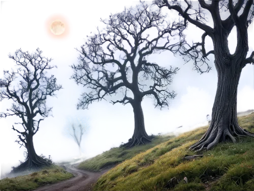 cartoon video game background,the mystical path,elfland,landscape background,nature background,fantasy landscape,fantasy picture,badland,sundering,lonetree,tuatha,druidism,tree grove,forest landscape,the path,druidic,forest path,lone tree,devilwood,gaea,Illustration,Abstract Fantasy,Abstract Fantasy 21