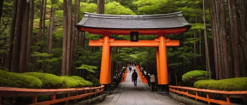 fushimi inari-taisha shrine,fushimi inari shrine,japanese shrine,shinto shrine,torii tunnel,torii,senbon torii,beautiful japan,淡島神社,shinto shrine gates,japan landscape,kyoto,japan garden,arashiyama,shinto,meiji jingu,japanese architecture,kumano kodo,japanese culture,japan's three great night views,Photography,Documentary Photography,Documentary Photography 14