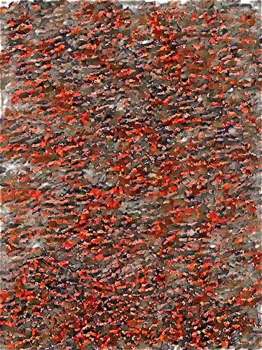 kngwarreye,multituberculata,multitude,lava river,tunick,gursky,field of poppies,sockeye,multitudinous,multituberculates,poppies in the field drain,red poppies,carnogursky,koi carps,orange red flowers,red confetti,red orange flowers,kusama,teeming,multituberculate,Illustration,Realistic Fantasy,Realistic Fantasy 11