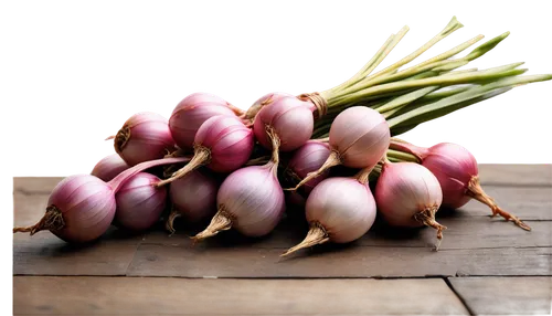 red onion,persian onion,onion bulbs,farmers market purple onions,garlic bulbs,pearl onion,white onions,bulgarian onion,sweet garlic,shallot,clove garlic,turnips,radicchio,eggplants,allium siculum,hardneck garlic,calçot,cultivated garlic,rosy garlic,red garlic,Illustration,Paper based,Paper Based 08