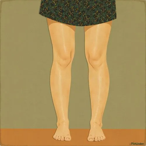 woman's legs,women's legs,hemlines,calve,lymphedema,rodilla,Illustration,Vector,Vector 08