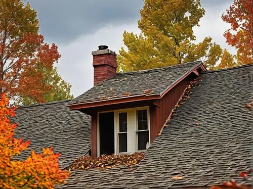 Weathered, rustic, asphalt shingles, 30-year lifespan, worn-out, faded, cracked, curled, buckled, storm-damaged, wind-blown, debris-covered, moss-grown, lichen-infested, peeled-off, ripped-apart, roof