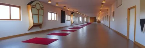 rows of empty long hall lined with red and gold mats,hallway space,corridor,hallway,corridors,gymnastics room,gymnast hall,dojo,hall,fitness room,yoga mats,kelsang,vinyasa,vipassana,fitness facility,e