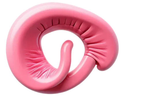 epididymis,oviduct,flaccid anemone,uvula,homoeosoma,ovary,diaphragm,uteri,blastula,cervix,debian,apical,ovulatory,menorrhagia,parvulus,peritoneum,diaphone,polyp,ananus,sphenoidal,Conceptual Art,Daily,Daily 05