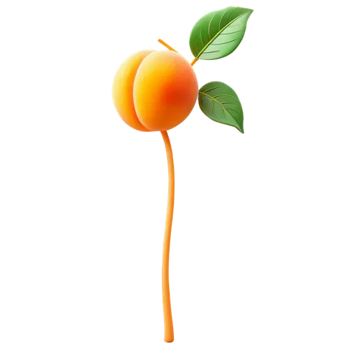 valencia orange,apricot,kumquat,mitarashi dango,apricot kernel,tangerine tree,dango,tangerines,apricots,satsuma,calamondin,minneola,orange trumpet,orange fruit,growing mandarin tree,defense,kumquats,citrus,orange,mango,Unique,3D,Garage Kits