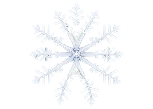 snowflake background,snow flake,blue snowflake,christmas snowflake banner,ice crystal,white snowflake,snowflake,gold foil snowflake,snowflakes,wreath vector,crystalline,summer snowflake,winter aster,red snowflake,winter background,wind rose,fire flakes,the snow queen,christmas snowy background,heracleum (plant),Conceptual Art,Graffiti Art,Graffiti Art 12