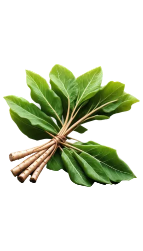 curry leaves,bay leaf,laulau,bay-leaf,citronella,cherry laurel,oleaceae,walnut leaf,mandarin leaves,moringa,stevia,chinese cinnamon,morinda citrifolia,leaf vegetable,custody leaf,mape leaf,loose tea leaves,leaf branch,siberian ginseng,fouquieria,Illustration,Realistic Fantasy,Realistic Fantasy 27