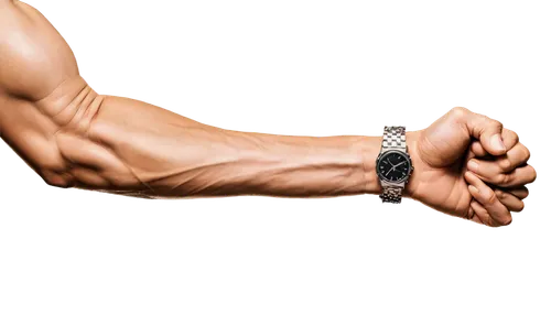 hand digital painting,wrists,arm,flexor,wristwatch,forearms,ganglion,handhold,handgrip,grasp,bracelet,human hand,handshape,muscle icon,sesamoid,muscle angle,handleman,sports bracelet,climbing hands,handshake icon,Art,Artistic Painting,Artistic Painting 22