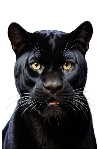 melanism,bubastis,bagheera,panther,tretchikoff,head of panther,rakshasa,blacksad,thunderclan,panthera,brambleclaw,bulgakov,derivable,tiger png,black cat,felino,sabercats,gepard,tigerstar,pantha,Art,Artistic Painting,Artistic Painting 51