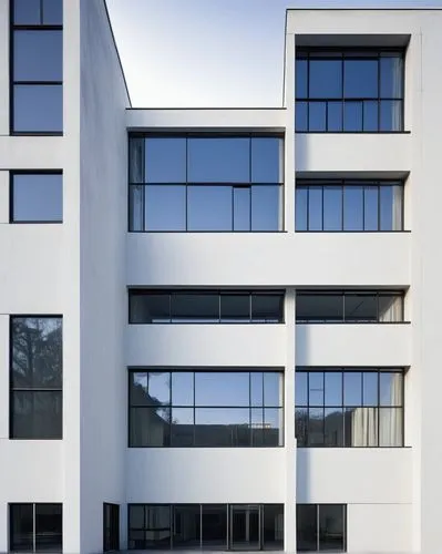 bauhaus,fenestration,glass facade,architektur,savoye,eisenman,architekten,corbu,architectes,facade panels,window frames,mondriaan,hejduk,glass facades,plattenbau,lubetkin,ludwig erhard haus,neutra,arhitecture,modern architecture,Conceptual Art,Fantasy,Fantasy 20