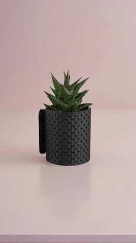 flower pot holder,plant pot,potted plant,terracotta flower pot,succulent plant,succulent in dark red pot,garden pot,plant pots,sansevieria,potted palm,flower pot,androsace rattling pot,flowerpot,cactu