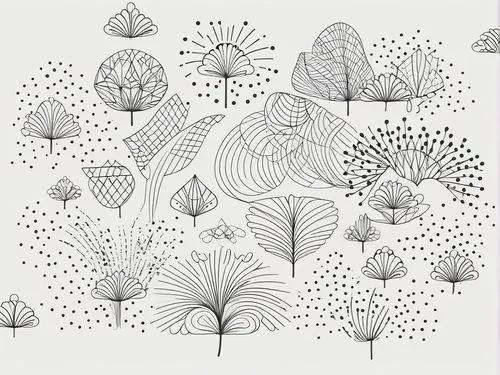 a black and white drawing of different plants,botanical line art,flower line art,umbrella pattern,flowers pattern,vector pattern,flowers png,Illustration,Black and White,Black and White 04