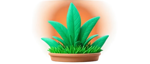 aloe vera leaf,aloe,torch aloe,citronella,cactus digital background,asparagaceae,hostplant,green plant,cryptanthus,capitata,sweet grass plant,potted plant,aloes,desert plant,dracaena,dark green plant,sansevieria,patrol,houseplant,lomandra,Unique,3D,Clay