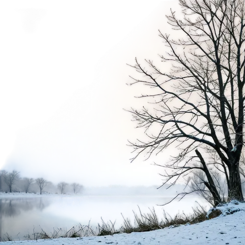 winter landscape,winter background,winter tree,wintry,winter lake,winter morning,snowy landscape,snow landscape,winter dream,winters,early winter,isolated tree,winter,winter magic,lone tree,winter forest,birch tree background,frozen lake,snowy tree,hoarfrost,Conceptual Art,Fantasy,Fantasy 15