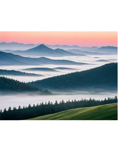 foggy landscape,landscape background,northern black forest,windows wallpaper,sea of fog,schwarzwald,foggy mountain,wave of fog,bavarian forest,mountainous landscape,ore mountains,nature background,sea of clouds,carpathians,mountain landscape,mist,sauerland,fog banks,background view nature,panoramic landscape,Illustration,Realistic Fantasy,Realistic Fantasy 25