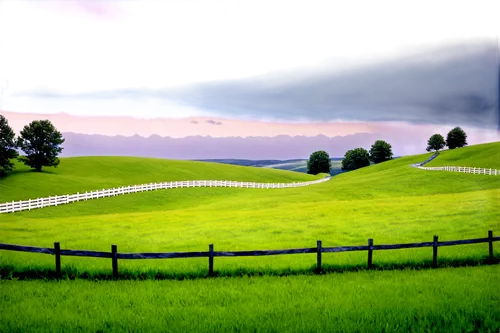 landscape background,fenceline,pasture fence,rolling hills,virtual landscape,green landscape,green fields,green grass,salt meadow landscape,farmland,pastures,white picket fence,rural landscape,rain field,farm landscape,grasslands,plains,grassland,home landscape,grassfields,Unique,3D,Toy