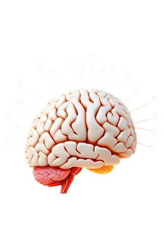 brain icon,brainlab,neurobiological,neurodegenerative,thalamocortical,encephalopathies,neurophysiological,neurorehabilitation,neuroprotection,encephalopathy,neurodegeneration,neurogenesis,meningoencephalitis,neurodevelopment,neuroscientific,prefrontal,neuromarketing,neurocognitive,neuropsychopharmacology,cerebrum,Art,Artistic Painting,Artistic Painting 44