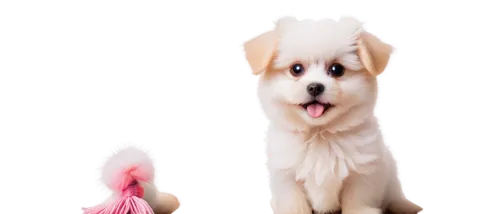 dogana,dog angel,sparapet,dogrib,pomeranians,akitas,doghmush,dog,inu,shoob,puppa,pyr,ein,sniffers,friji,parvo,pugmire,barkus,doggart,pomeranian,Conceptual Art,Daily,Daily 10