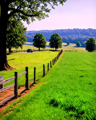 pasture fence,antietam,country road,fence posts,shutesbury,moundville,bridleway,monticello,fenceposts,green landscape,green fields,rappahannock,pastureland,bucolic,appomattox court house,greenways,countryside,bridleways,green meadows,upperville,Conceptual Art,Oil color,Oil Color 03