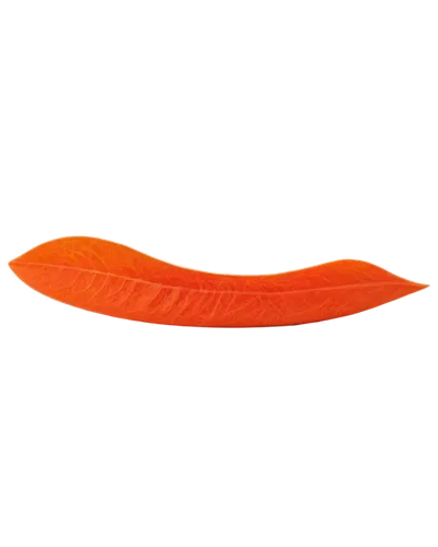 orange,garrisoned,orange slice,defence,garrison,cinema 4d,futura,tweezer,fluoro,tangerine,naranja,slicer,garrisons,garrisoning,tweezers,boomerang,razor ribbon,fiskars,kukri,knife,Photography,Black and white photography,Black and White Photography 11