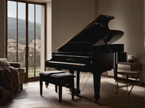 steinway,grand piano,player piano,yamaha p-120,fortepiano,the piano,piano,digital piano,pianos,piano keyboard,play piano,concerto for piano,pianet,piano notes,piano books,electric piano,pianist,piano bar,casio ctk-691,harpsichord,Photography,Fashion Photography,Fashion Photography 15