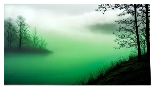 foggy landscape,green landscape,foggy forest,green trees with water,green forest,emerald sea,green water,pea soup,fog banks,mist,forest landscape,green trees,ground fog,menta,fir green,temperate coniferous forest,dense fog,green tree,coniferous forest,landscape photography,Art,Classical Oil Painting,Classical Oil Painting 41