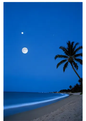 moonlit night,blue moon,moonlit,moonlight,moonlighted,moon and star background,moonglow,moon at night,lakshadweep,moon night,moonlite,moonrise,full moon,night image,moondance,crescent moon,sea night,moonesinghe,blue hour,moon photography,Photography,Black and white photography,Black and White Photography 06