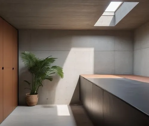 poner objetos
,a plant that is sitting in the ground near a wall,associati,corian,modern minimalist bathroom,breuer,concrete ceiling,exposed concrete,Photography,General,Realistic