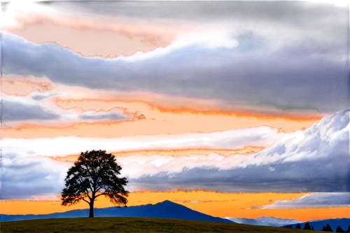 lone tree,isolated tree,watercolor pine tree,landscape background,lonetree,mount hood,pine tree,ranier,sugarloaf,hekla,mount taranaki,volcanic landscape,dusk background,fir tree silhouette,popocatepetl,albero,nature background,mountain landscape,mount shasta,mountain scene,Photography,Documentary Photography,Documentary Photography 35