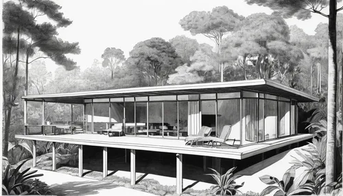 mid century house,mid century modern,matruschka,mid century,pool house,hacienda,bungalow,ruhl house,greenhouse cover,greenhouse,conservatory,dunes house,holiday home,house drawing,renovation,aviary,palm house,veranda,the palm house,1955 montclair,Illustration,Black and White,Black and White 26