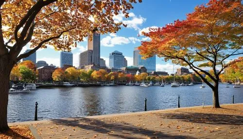 autumn background,autumn in the park,phila,autumn day,yarra,autumn scenery,bostonnais,fall landscape,autumn park,autumns,central park,philadelphia,boston,autumn landscape,fall foliage,autuori,filadelfia,lake shore,rushcutters,the trees in the fall,Photography,Documentary Photography,Documentary Photography 33