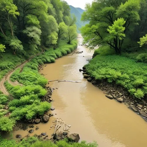 nolichucky,river landscape,dunajec,a river,mountain river,nantahala,prestonsburg,arashiyama,aura river,rio grande river,driftless,conemaugh,raven river,river bank,harpeth,green trees with water,unicoi,clear stream,river,holy river,Unique,Design,Infographics