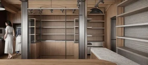 turn the erased part to glass ,an artistic rendering shows a woman and a kitchen with shelving,walk-in closet,storage cabinet,wardrobes,cabinetry,schrank,cupboard