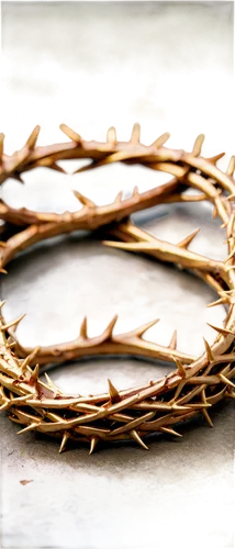 crown of thorns,crown-of-thorns,laurel wreath,gold foil crown,golden wreath,gold bracelet,gold crown,basket weaving,brooch,jewelry basket,diadem,gold foil wreath,wooden rings,palm sunday,basket maker,openwork frame,gold jewelry,couronne-brie,circular ring,headpiece,Illustration,Japanese style,Japanese Style 01