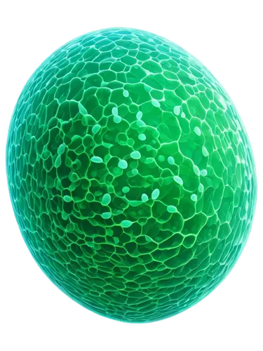 grass golf ball,macrocystis pyrifera,lacrosse ball,egg,cell structure,insect ball,chloroplasts,seamless texture,orb,golf ball,spherical image,muskmelon,green pufferfish,patrol,tennis ball,green bubbles,citrullus,macrocystis,myrciaria,aaa,Art,Classical Oil Painting,Classical Oil Painting 38