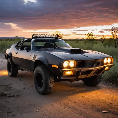 amc eagle,delorean dmc-12,ford mustang mach 1,ford xb falcon,ford maverick,off-road outlaw,mad max,ford pinto,amc amx,amc javelin,lamborghini jarama,raptor,fiat x1/9,chevrolet camaro,ford torino,off-road car,desert safari,bumblebee,boss 302 mustang,subaru brat,Photography,Documentary Photography,Documentary Photography 31