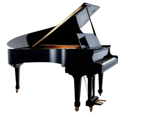 grand piano,steinway,play piano,derivable,bosendorfer,steinways,carpianum,the piano,piano keyboard,pianoforte,piano,pianistic,concerto for piano,piano petals,pianist,clavinet,piano notes,piano player,bechstein,boesendorfer,Illustration,Vector,Vector 05