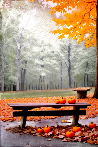 park bench,red bench,wooden bench,bench,benches,outdoor bench,picnic table,autumn background,autumn frame,autumn in the park,round autumn frame,autumn park,man on a bench,fallen leaves,wood bench,garden bench,outdoor table,autumn scenery,stone bench,the autumn,Conceptual Art,Oil color,Oil Color 11