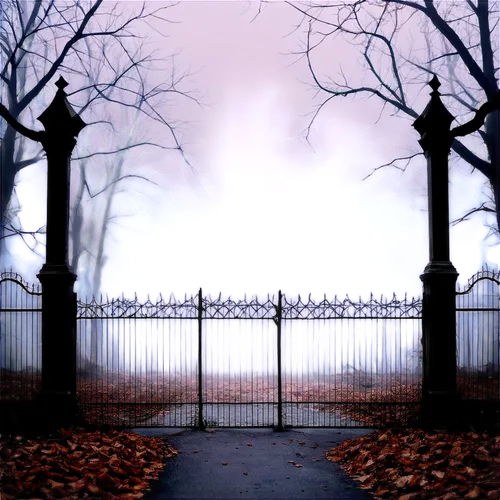 iron gate,gates,fence gate,heaven gate,metal gate,dark park,gated,gate,halloween background,grave light,gateway,front gate,white picket fence,the fence,cemetary,farm gate,gatekeeper,fence,the threshold of the house,gating,Photography,Documentary Photography,Documentary Photography 20