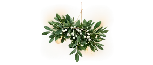 fir tree decorations,star-of-bethlehem,cherry laurel,pennant garland,hanging plant,hanging decoration,ornithogalum,star of bethlehem,mistletoe berries,gold foil laurel,garden star of bethlehem,holly wreath,flowers png,luminous garland,christmas garland,laurel wreath,vintage anise green background,tarragon,curry leaves,christmas tassel bunting,Illustration,Abstract Fantasy,Abstract Fantasy 09