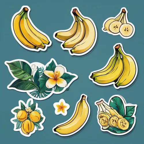 banana,fruit icons,fruits icons,bananas,banana tree,banana,banana peel,banana trees,dolphin bananas,food icons,banana family,clipart sticker,monkey banana,saba banana,banana plant,dried bananas,icon s