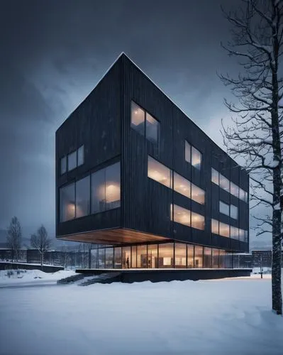 Norwegian building, modern architecture, Doga centre, wooden structure, large glass windows, minimalist interior, natural light, Scandinavian design, urban setting, Oslo cityscape, snow-covered roofs,