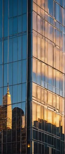 glass facades,glass building,windowpanes,reflections,shard of glass,glass facade,reflected,glass wall,reflejo,refleja,glass pane,structural glass,tishman,skyscrapers,window washer,glass panes,structure silhouette,reflection,glass window,mirrored,Photography,Artistic Photography,Artistic Photography 09