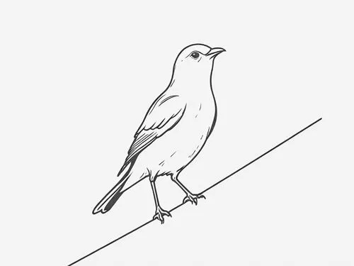 a bird is sitting on the bar of a wire,line art birds,bird outline,bird drawing,bird illustration,canary bird,bird on branch,Design Sketch,Design Sketch,Rough Outline