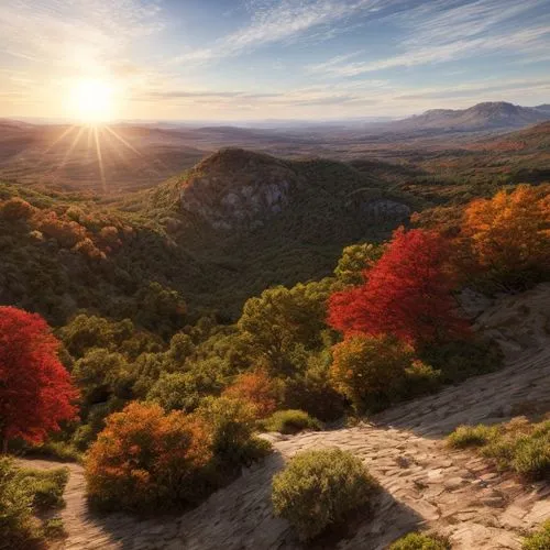 autumn mountains,fall landscape,autumn landscape,autumn background,beech mountains,provence,autumn sun,autumn scenery,colors of autumn,autumn light,mountain sunrise,eastern pyrenees,south australia,ta